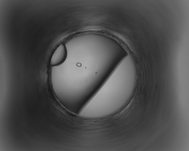 X0000098101406200804040737