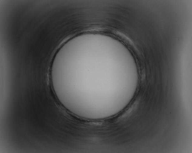 X0000098101409200804040737