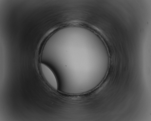 X0000098101410200804040737