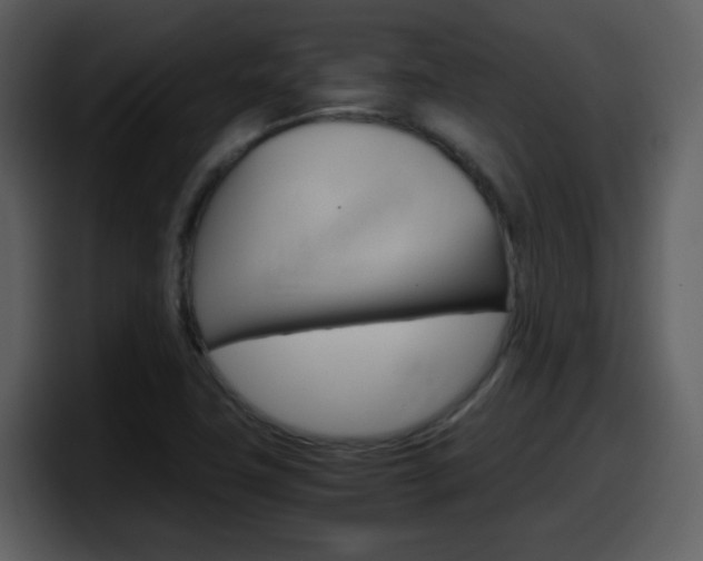 X0000098101411200804040737