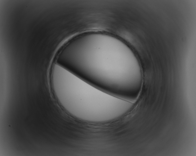 X0000098101412200804040737