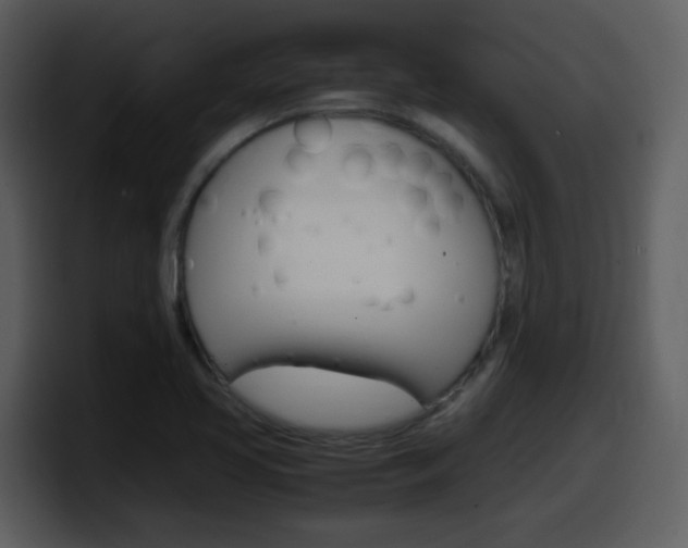 X0000098101413200804040737