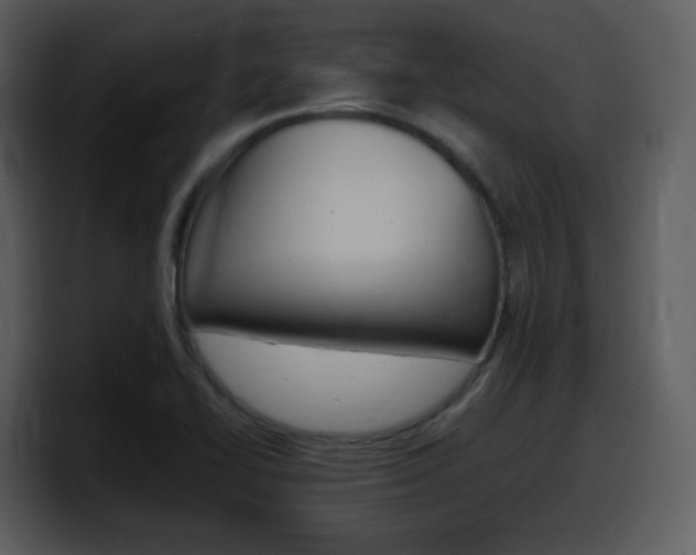 X0000098101414200804040737