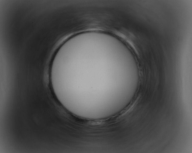 X0000098101415200804040737
