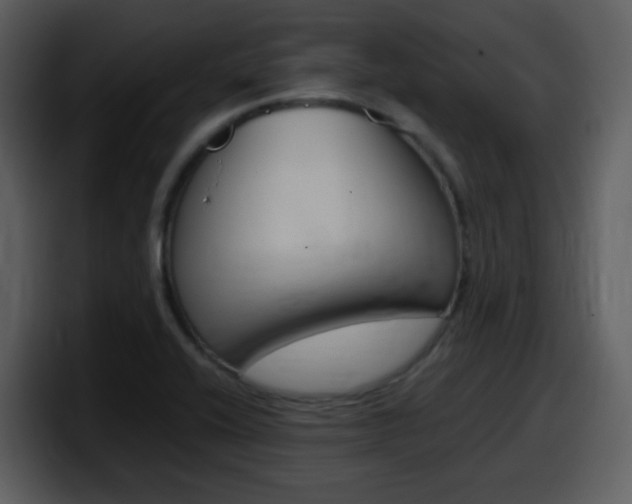 X0000098101416200804040737
