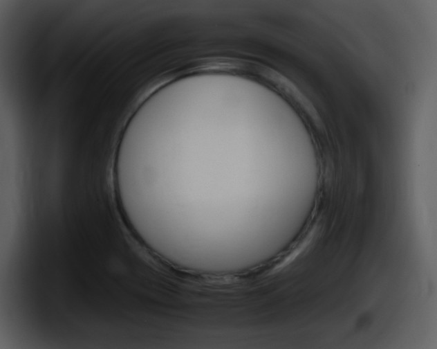 X0000098101417200804040737