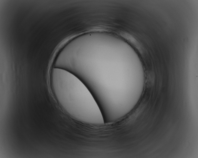 X0000098101419200804040737