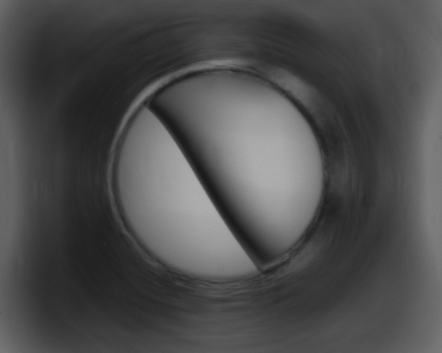 X0000098101420200804040737