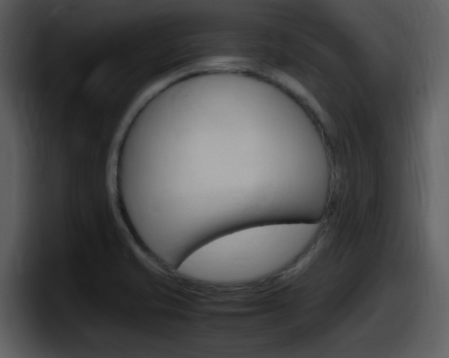 X0000098101421200804040737