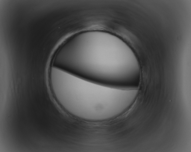 X0000098101422200804040737