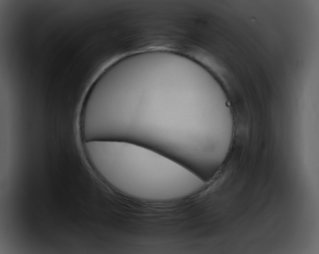 X0000098101423200804040737