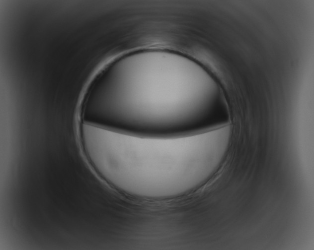 X0000098101424200804040737