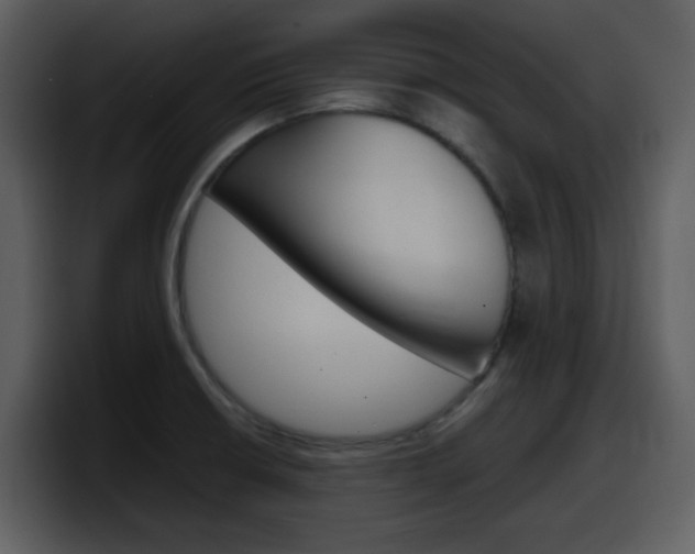 X0000098101426200804040737