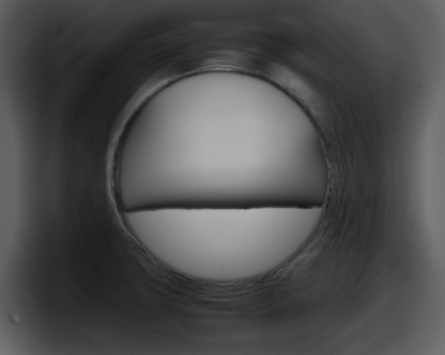 X0000098101427200804040737