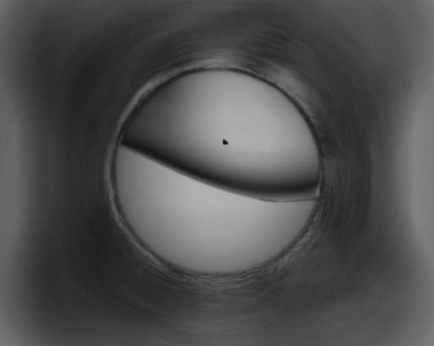 X0000098101428200804040737
