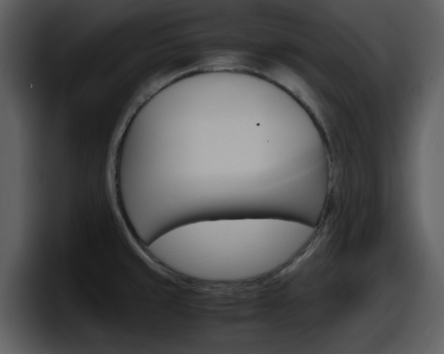 X0000098101429200804040737