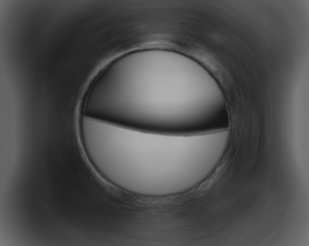 X0000098101430200804040737
