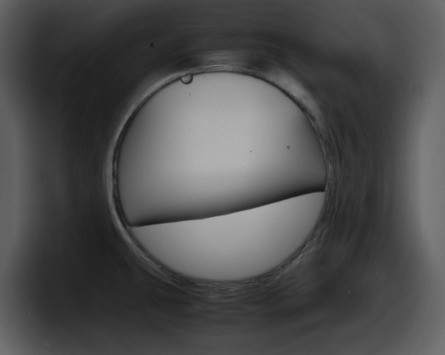 X0000098101431200804040737