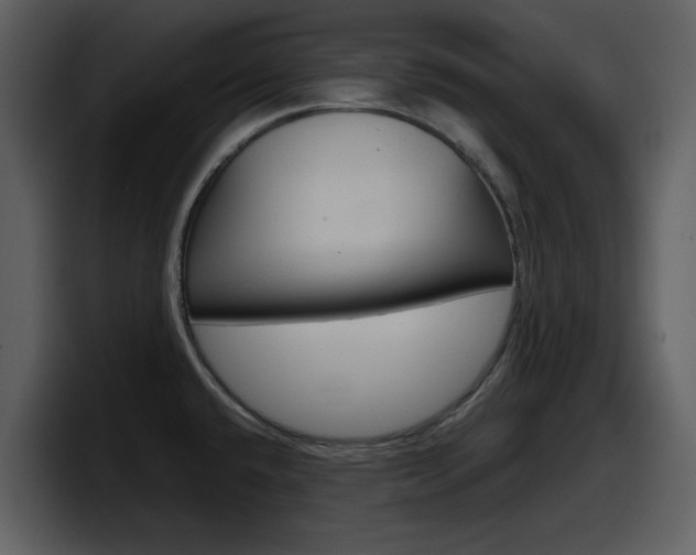 X0000098101432200804040737