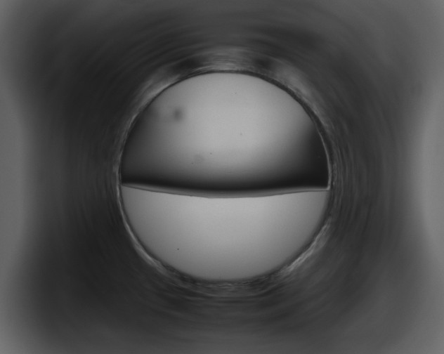 X0000098101433200804040737
