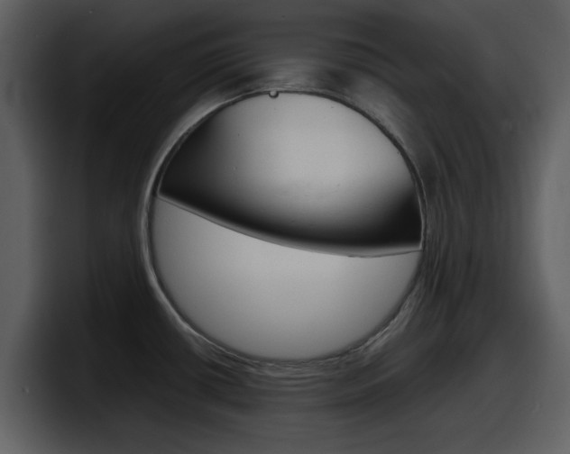 X0000098101434200804040737