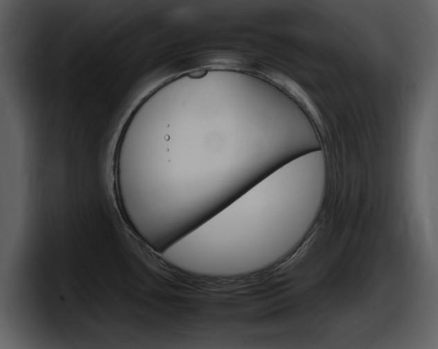 X0000098101435200804040737