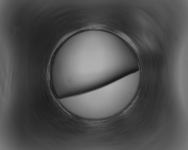 X0000098101436200804040737