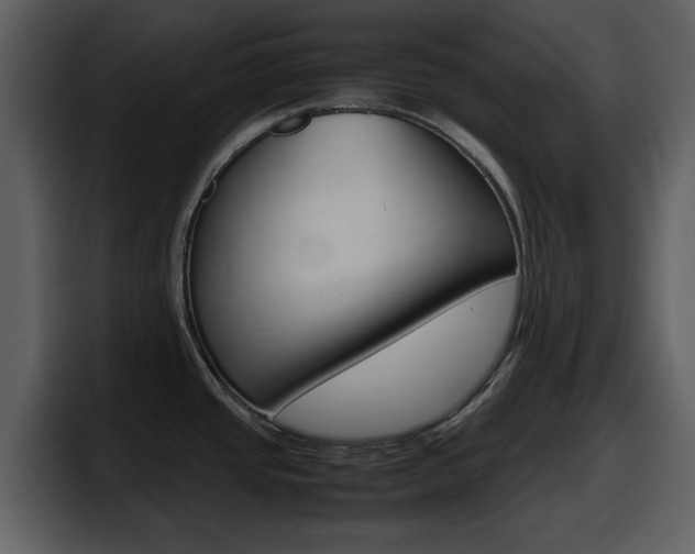 X0000098101437200804040737