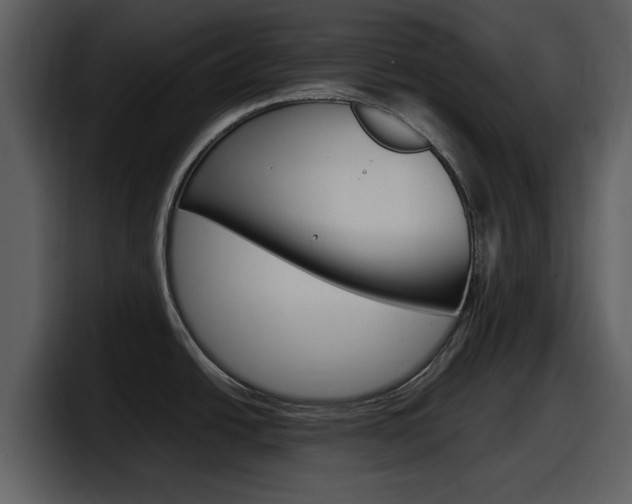 X0000098101438200804040737