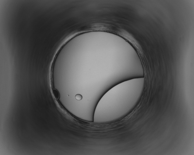 X0000098101439200804040737