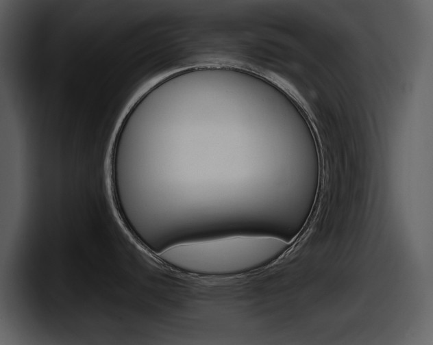 X0000098101440200804040737