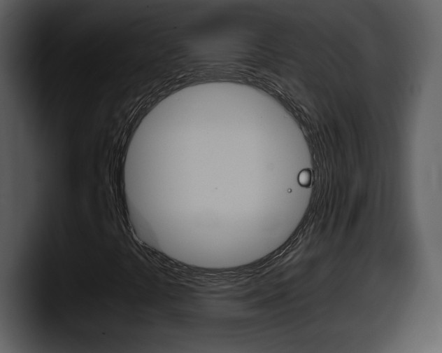 X0000098101441200804040737