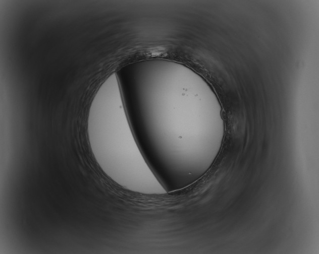 X0000098101442200804040737