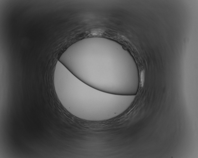 X0000098101443200804040737