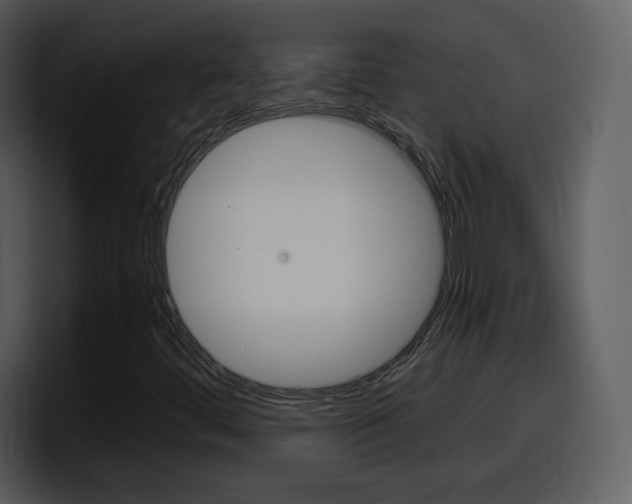X0000098101444200804040737
