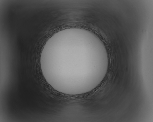 X0000098101445200804040737