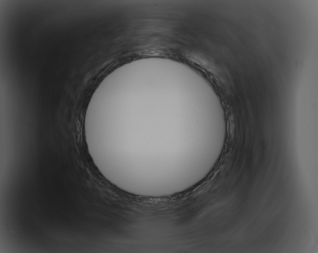 X0000098101446200804040737