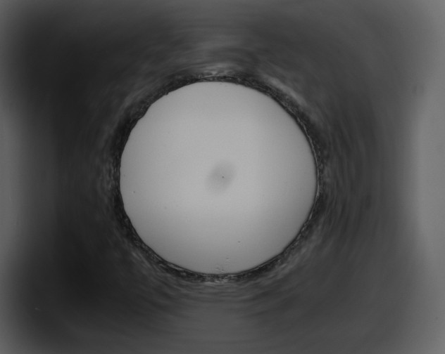 X0000098101447200804040737