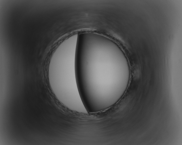 X0000098101448200804040737