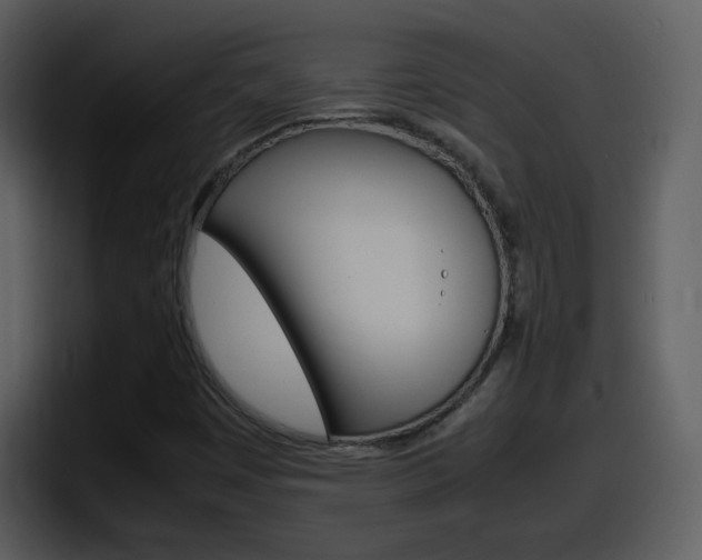 X0000098101449200804040737