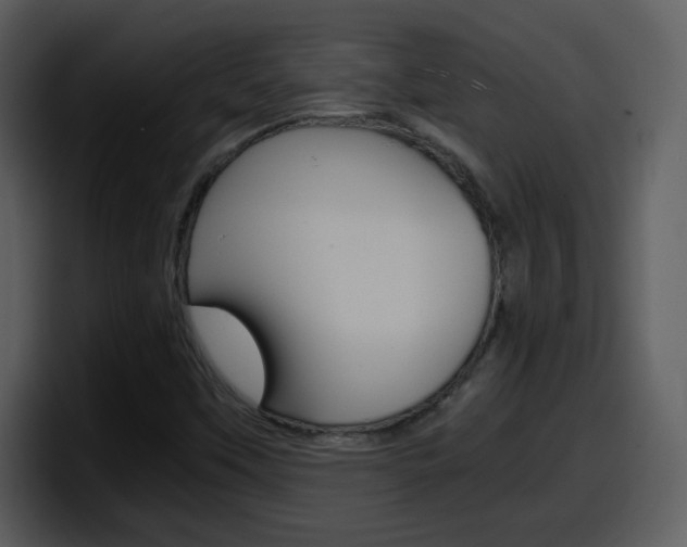 X0000098101451200804040737