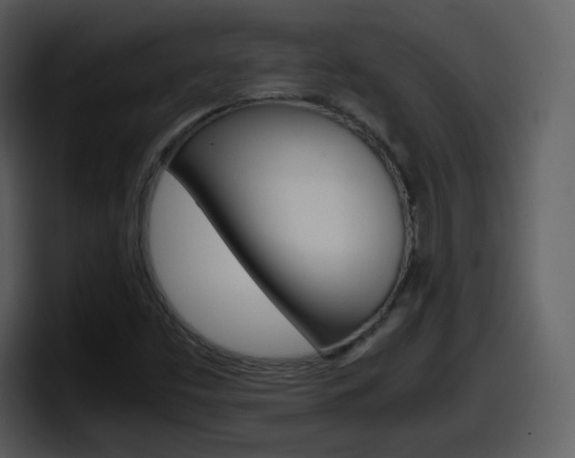 X0000098101453200804040737