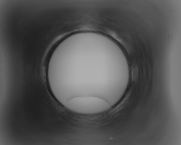X0000098101454200804040737