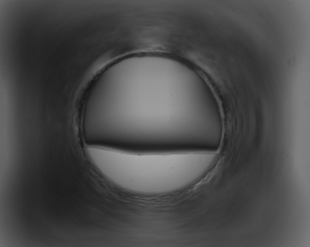 X0000098101455200804040737