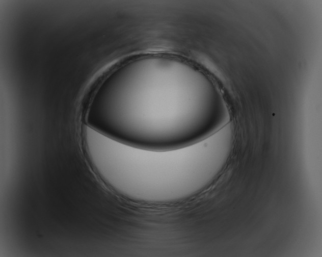 X0000098101456200804040737