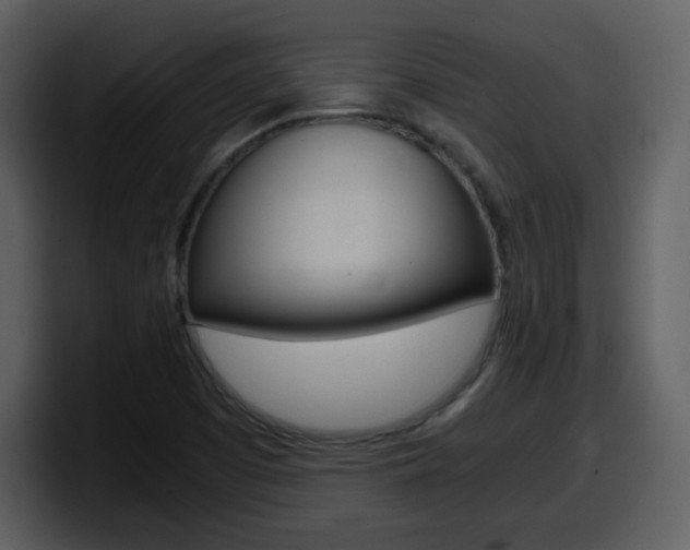 X0000098101457200804040737