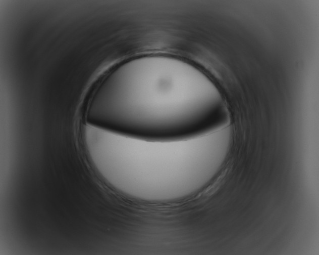 X0000098101458200804040737