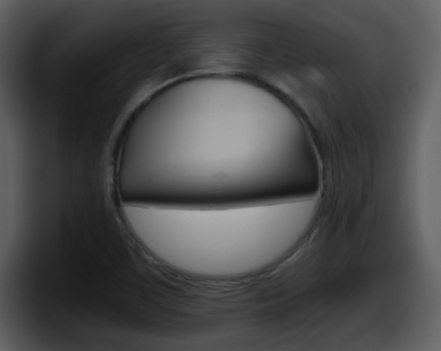 X0000098101459200804040737