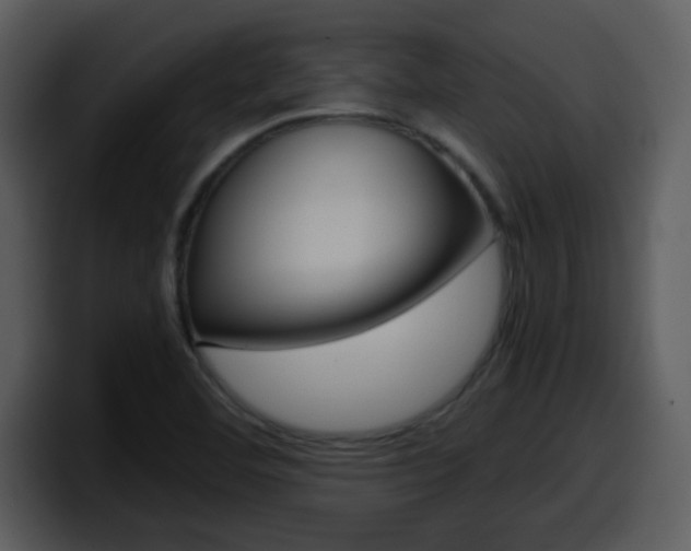 X0000098101460200804040737