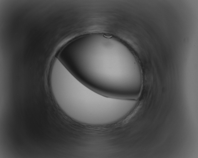 X0000098101461200804040737
